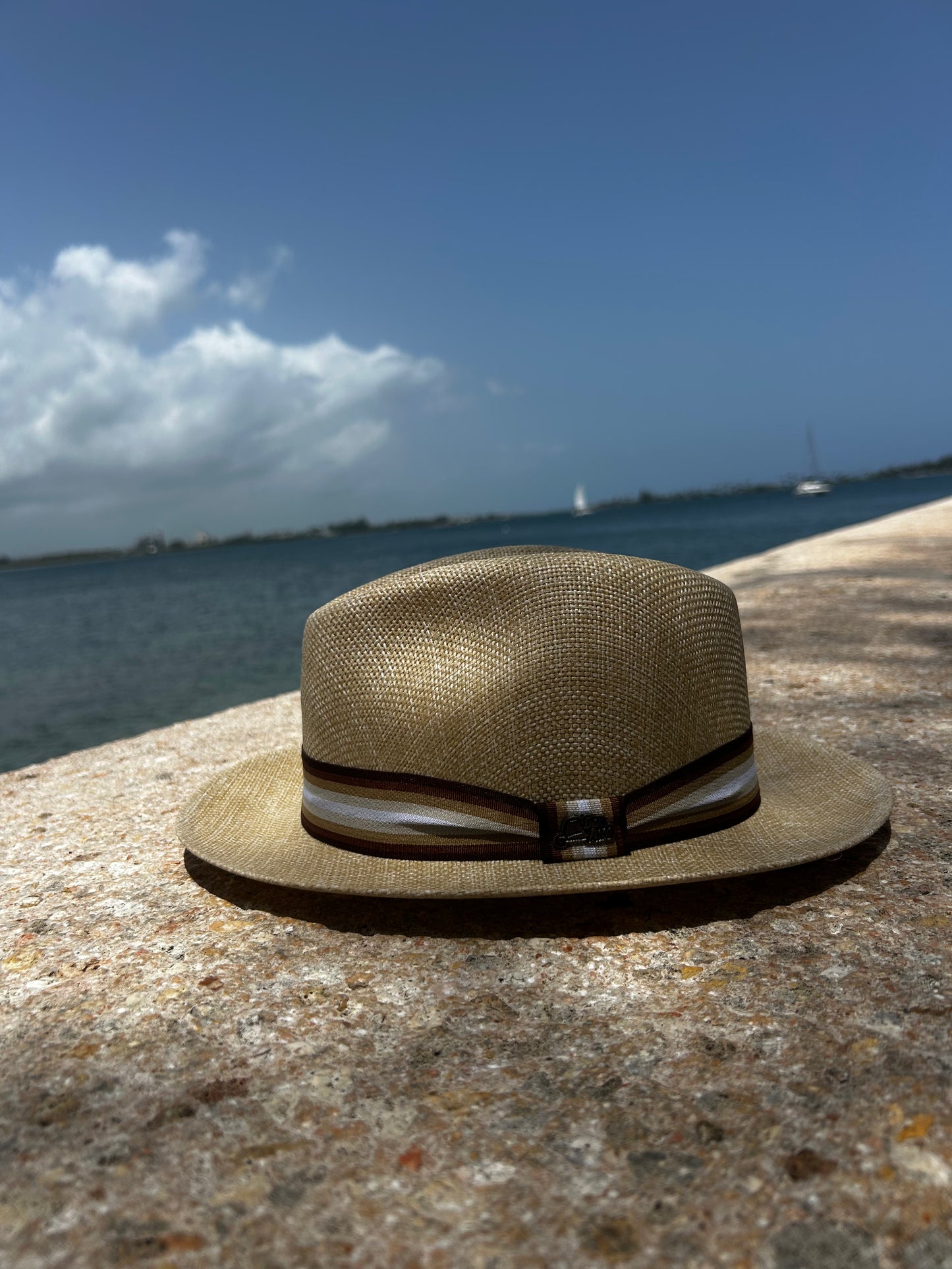 Sombrero Colombiano Don Paco